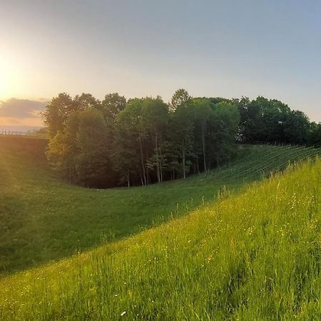 Agriturismo L'Eremo Volpago del Montello Zewnętrze zdjęcie