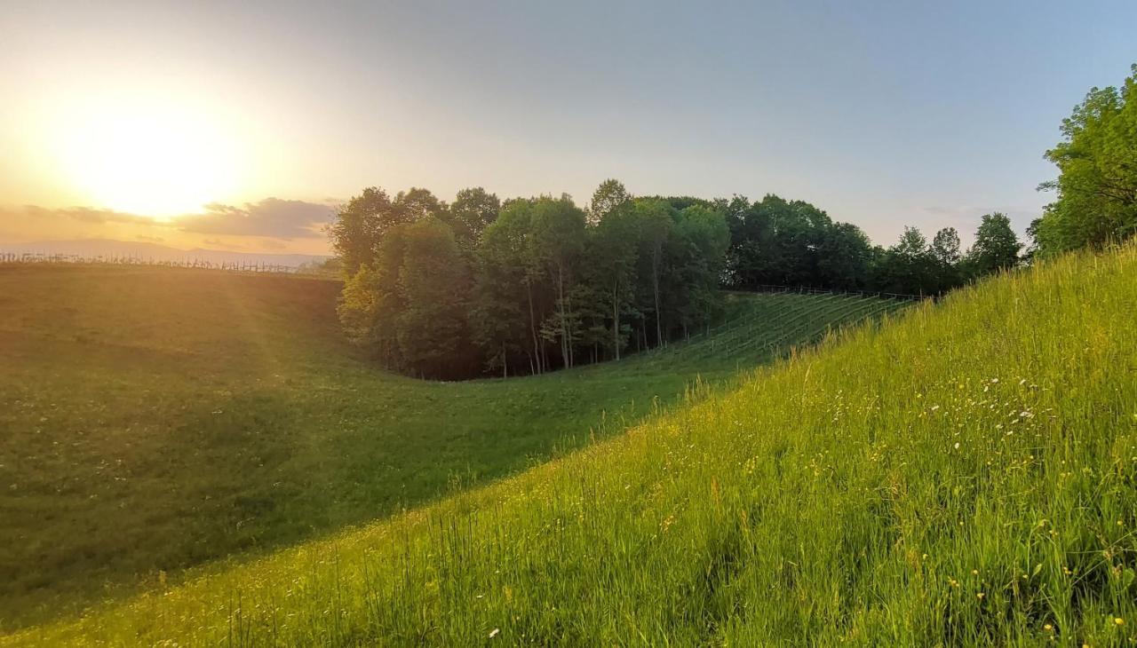 Agriturismo L'Eremo Volpago del Montello Zewnętrze zdjęcie
